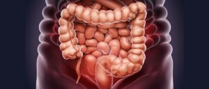 colon, anatomy, medical